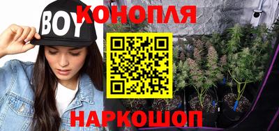 метадон Боровичи