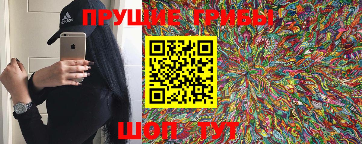 Артёмовский  Галлюциногенные грибы Psilocybine cubensis  Вход с VPN 