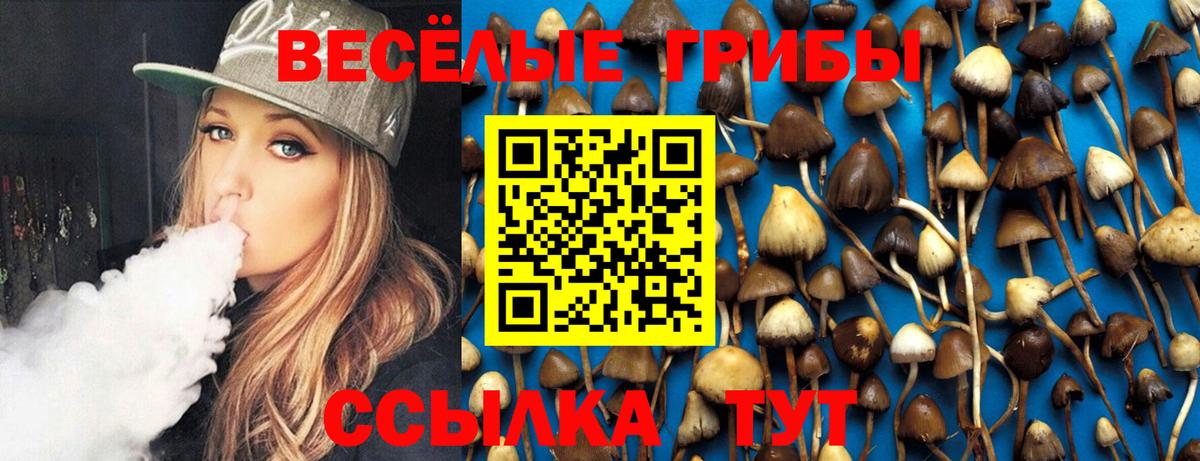Псилоцибиновые грибы Cubensis Артёмовский